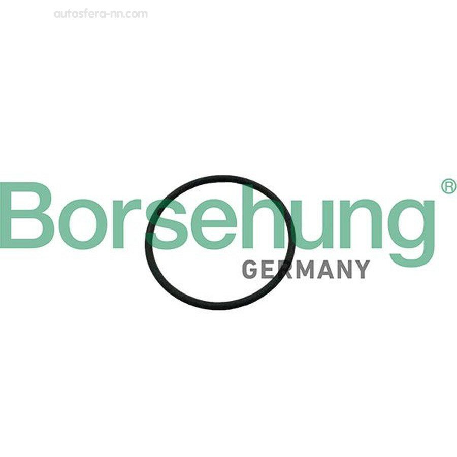 BORSEHUNG B12926 Уплотнительное кольцо клапана распредвала