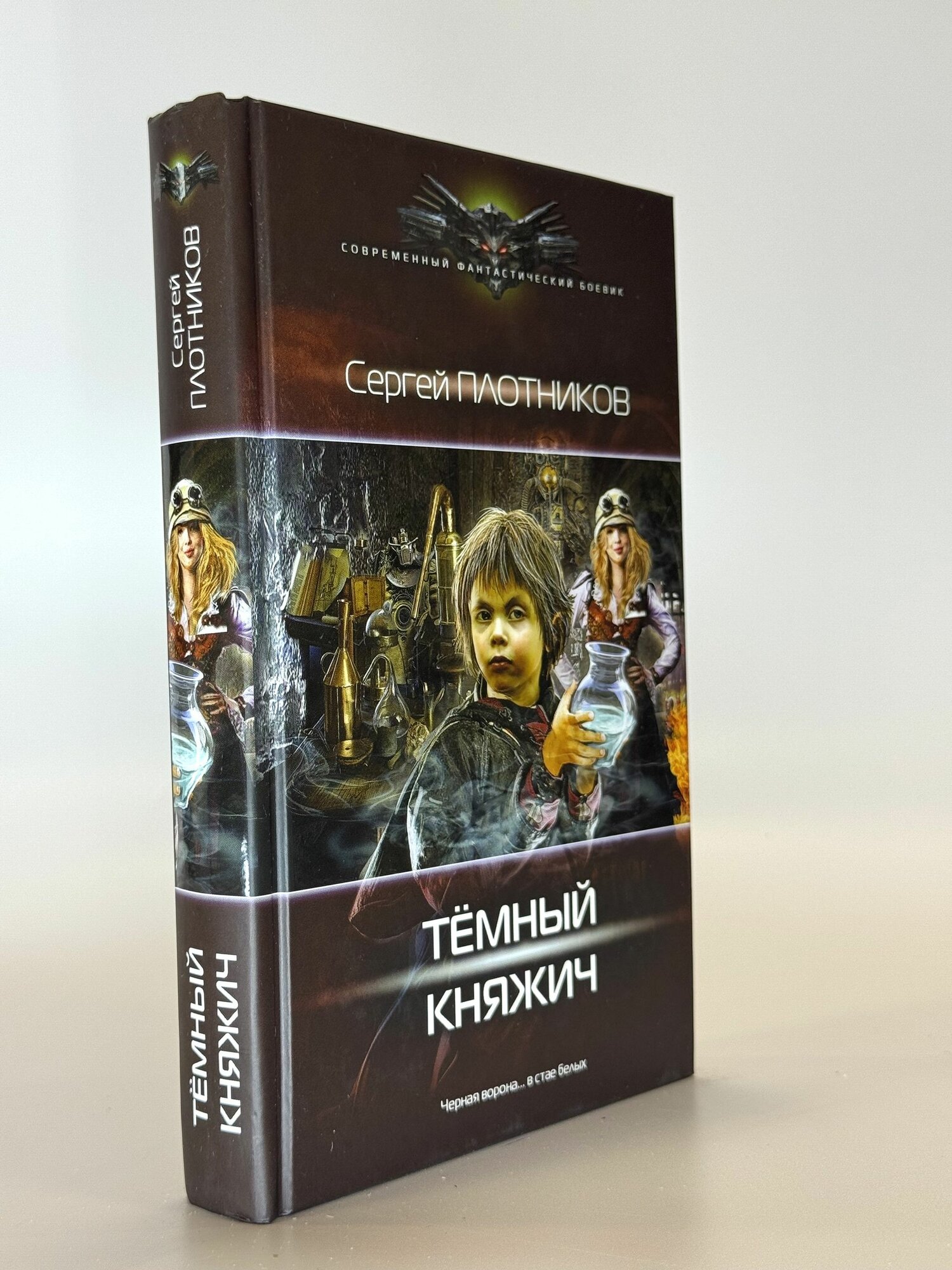 Тёмный княжич. Сергей Плотников. Букинистическая книга в отличном состоянии.