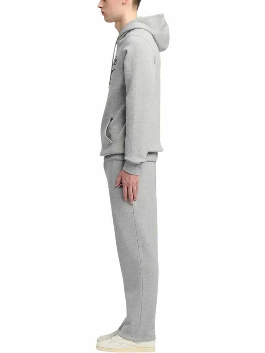 Худи спортивное Reebok Identity Big Logo Fleece Hoodie, размер S INT, , серый/красный/синий — фото 1