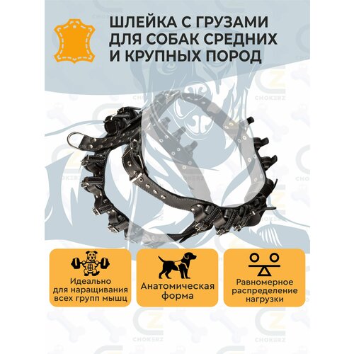 фото Шлейка для собак/ шлейка кожаная с утяжелителями (грузами) chokerz