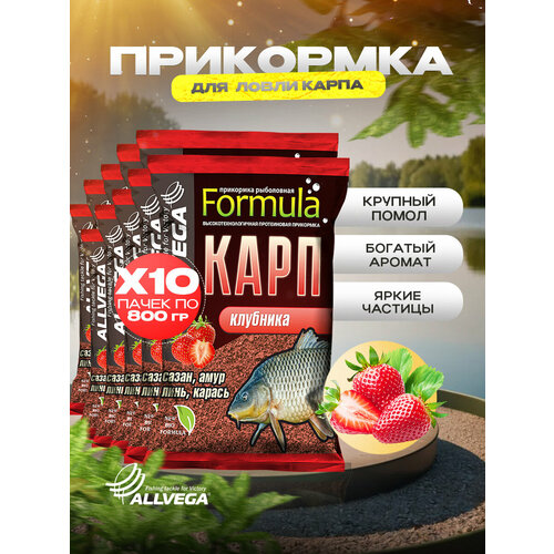 Прикормка для рыбалки ALLVEGA Formula карп клубника 10 пачек по 0.9 кг