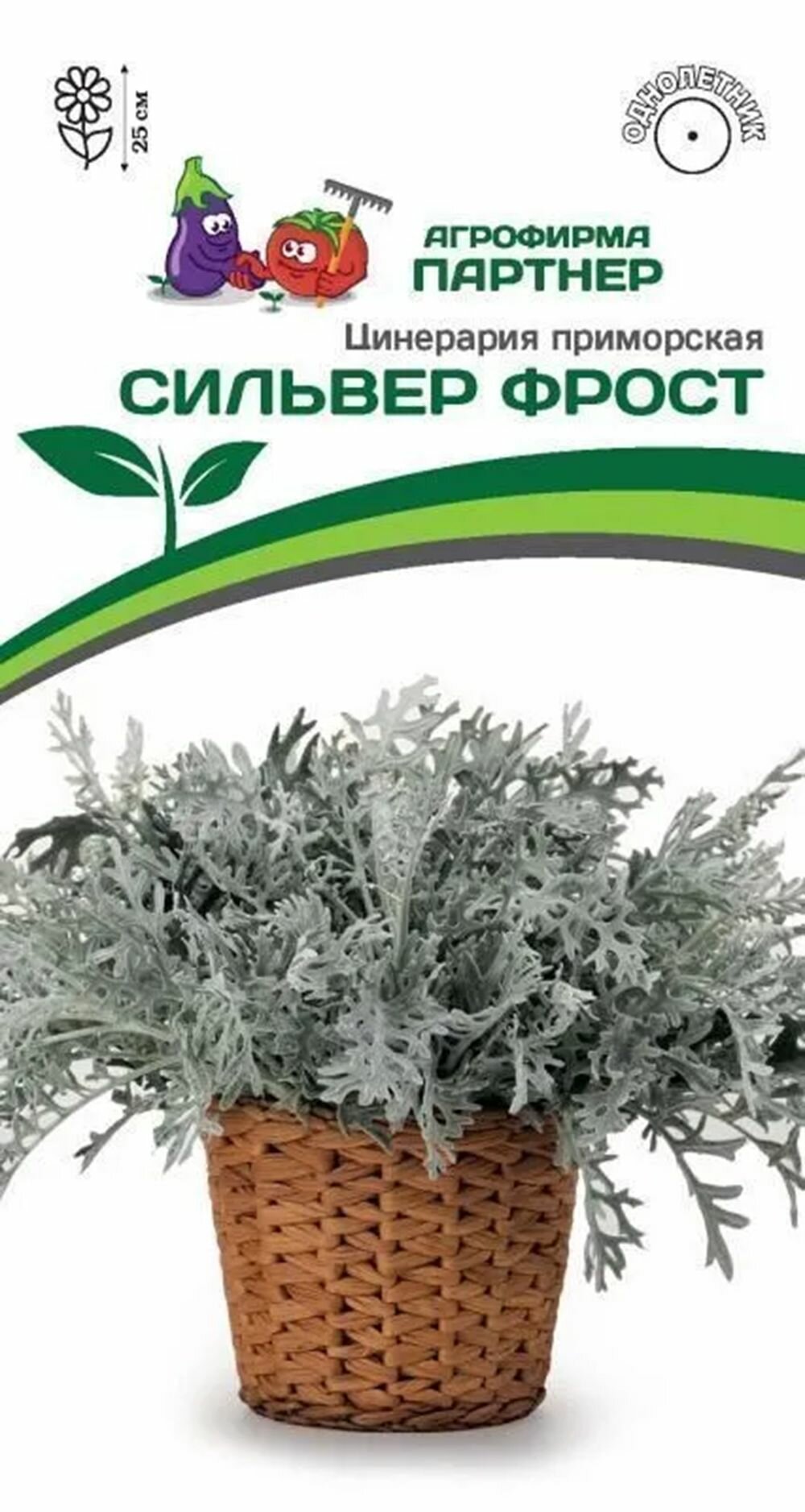 Цинерария приморская сильвер фрост 15шт х 1 упаковка/Партнер
