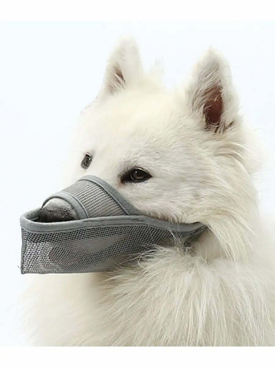 Намордник дышащий из сетки для собак средних и крупных пород