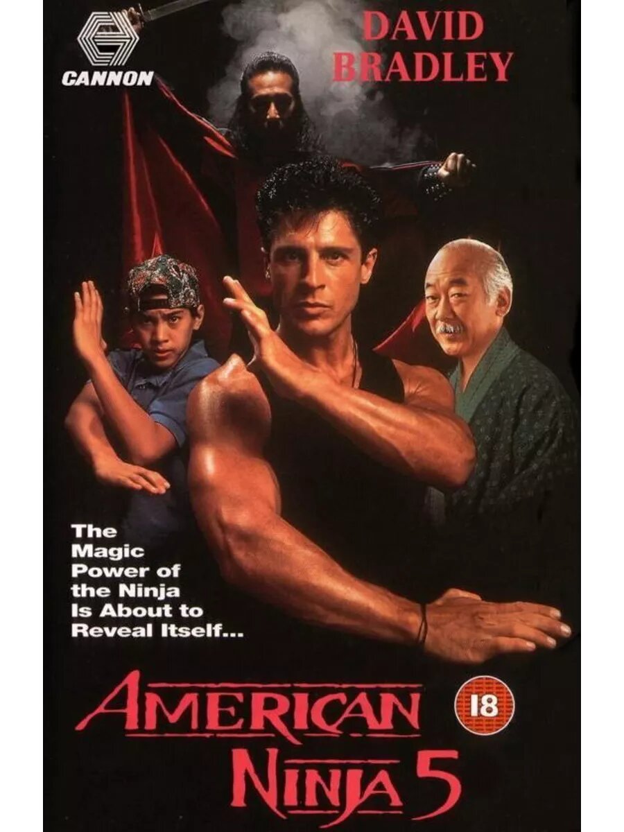 Американский Ниндзя 5 (1993) (DVD-R)