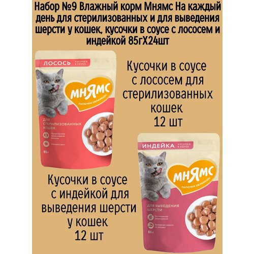 Набор №9 Влажный корм Мнямс для стерилизованных кошек, кусочки в соусе с лососем и индейкой, 24 шт х 85 гр