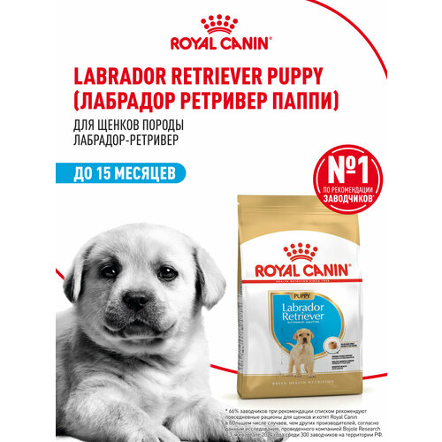 Корм для собак Royal Canin Labrador Retriever Puppy (Лабрадор Ретривер Паппи), сухой для щенков породы лабрадор ретривер до 15 месяцев, 3 кг