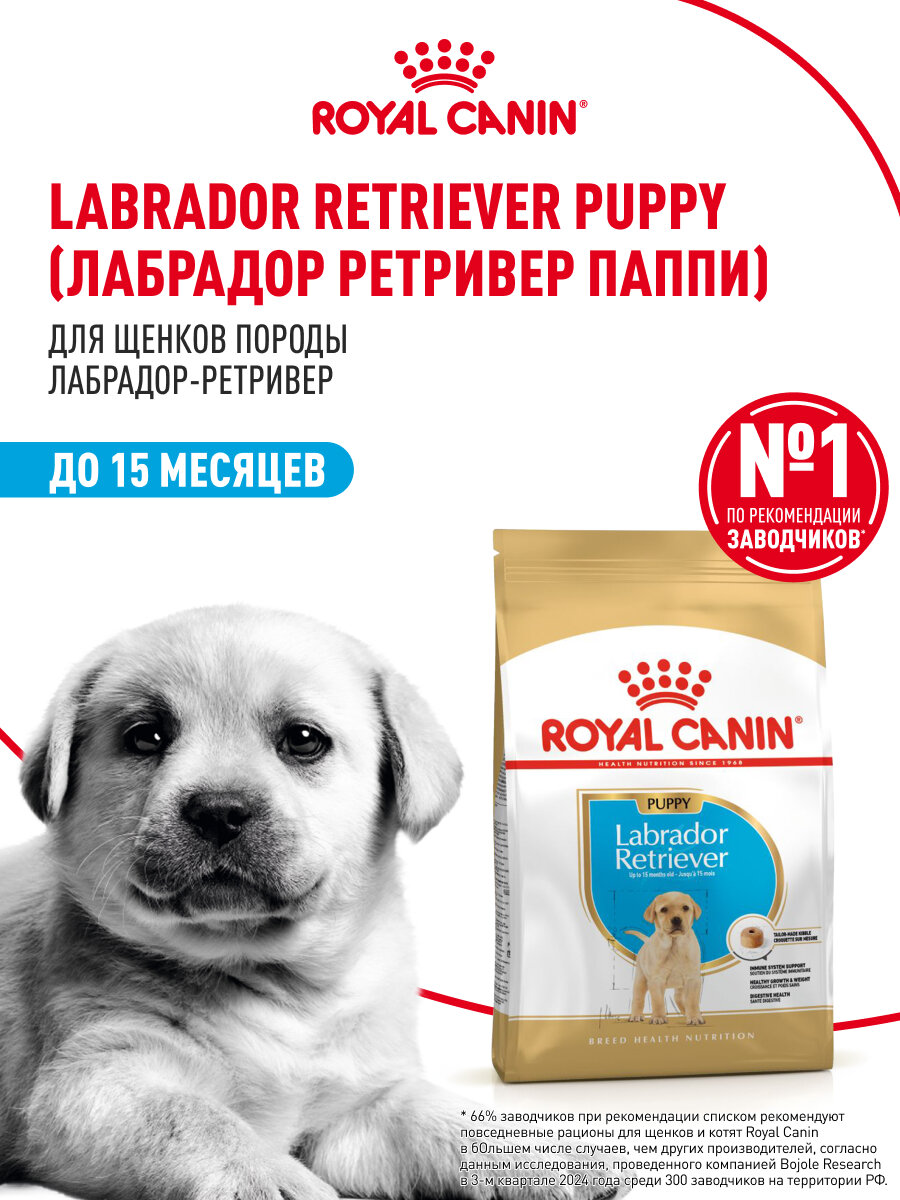 Сухой корм для щенков Royal Canin Puppy для породы лабрадор ретривер, 3 кг