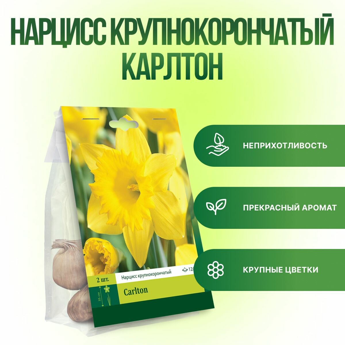 Нарцисс Карлтон крупнокорончатый (2шт) луковицы нарциссов многолетние