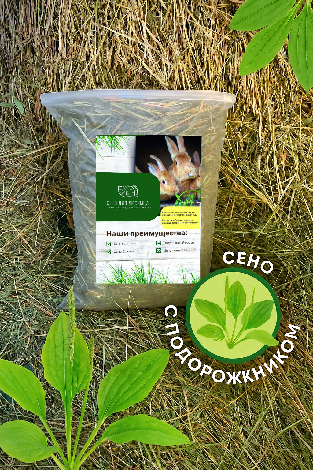 Сено с подорожником для грызунов и кроликов «ЗубастикМаркет» 300 г — натуральное ароматное для крепкого иммунитета
