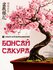 Набор для выращивания растений Бонсай Сакура