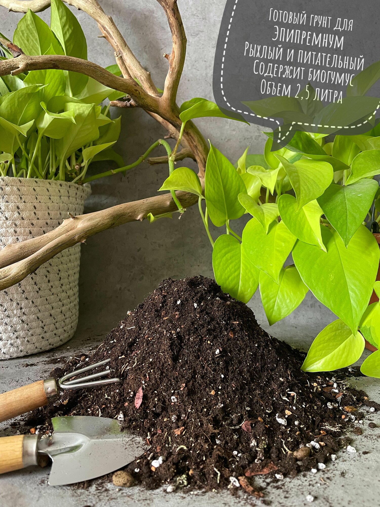 Премиум грунт для Эпипремнума и ароидных 2,5л с биогумусом Terracotta Plants