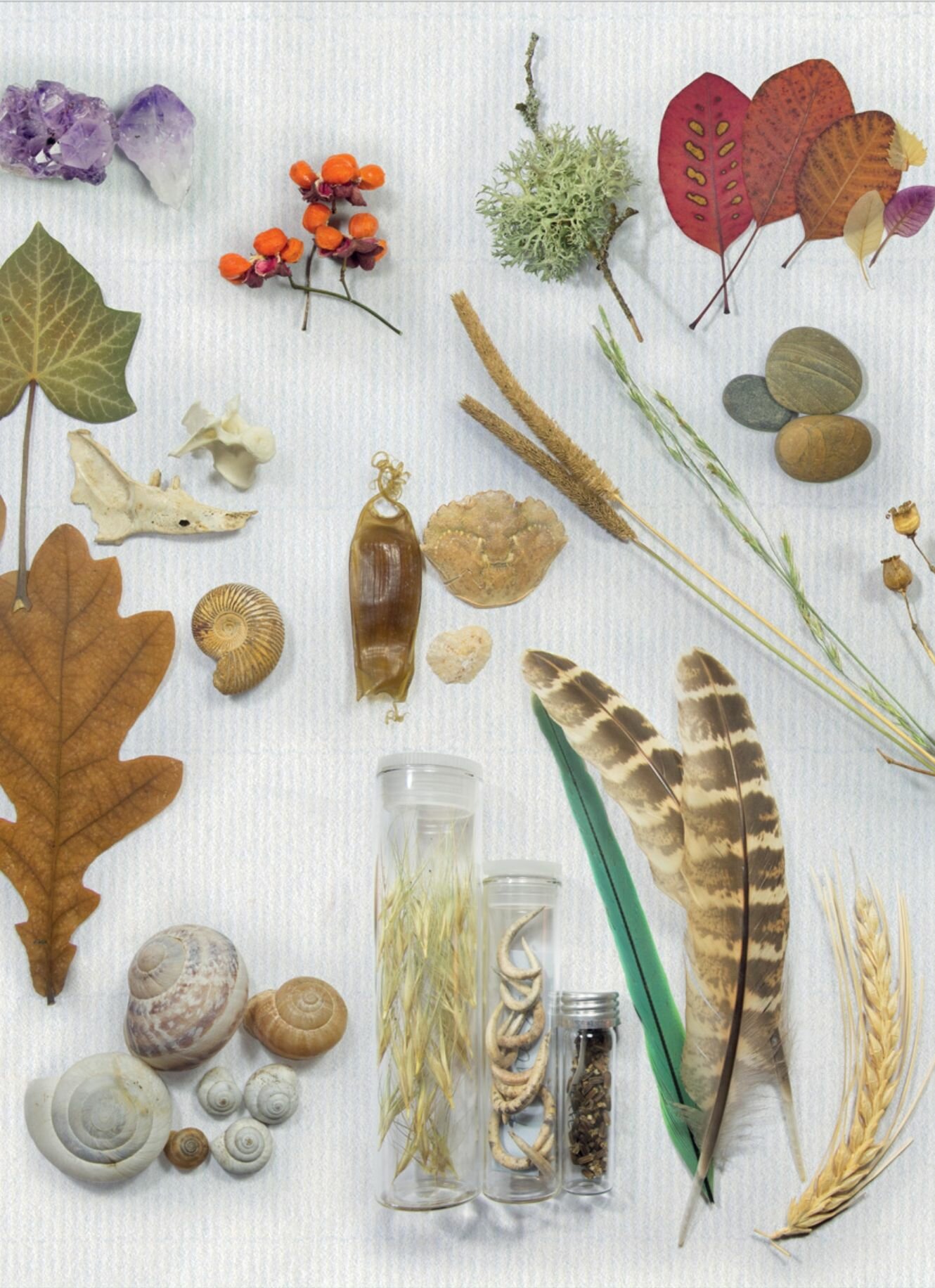 Дневник юного натуралиста — фото 1