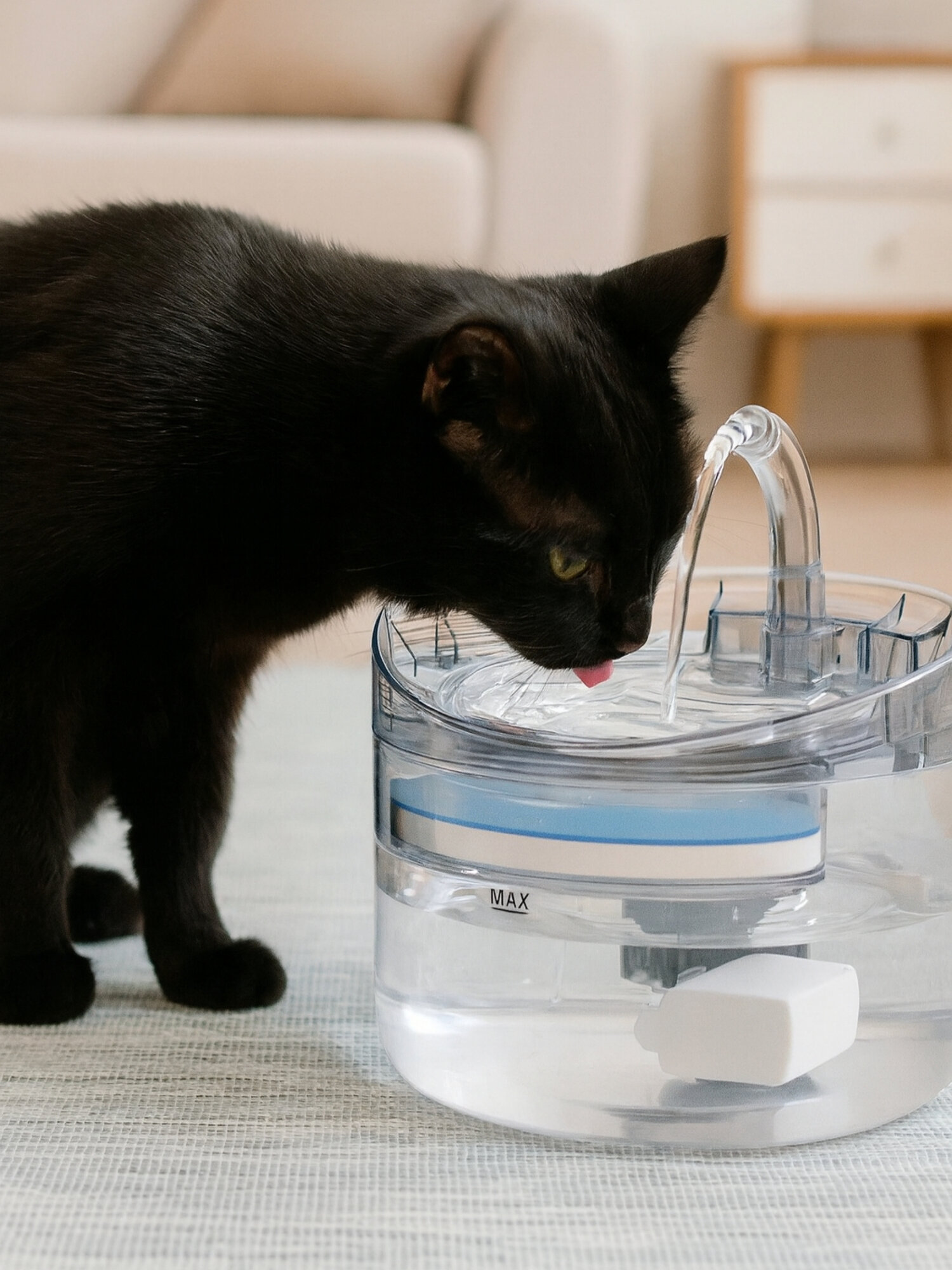 Поилка для кошек и собак / АвтопоилкаПоилка для кошек и собак / Автопоилка