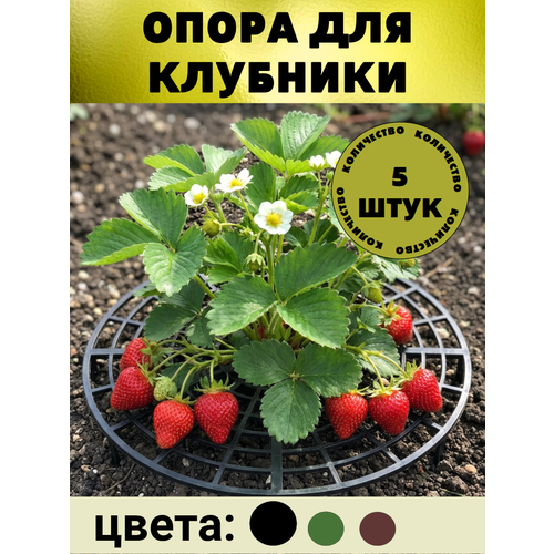 фото Опора для клубники 5 шт. ковропласт