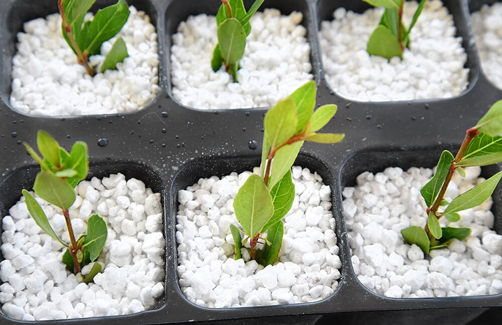 Перлит "Торфуша", для восстановления почвы, минеральный, 0,5 л, 100 г — фото 1