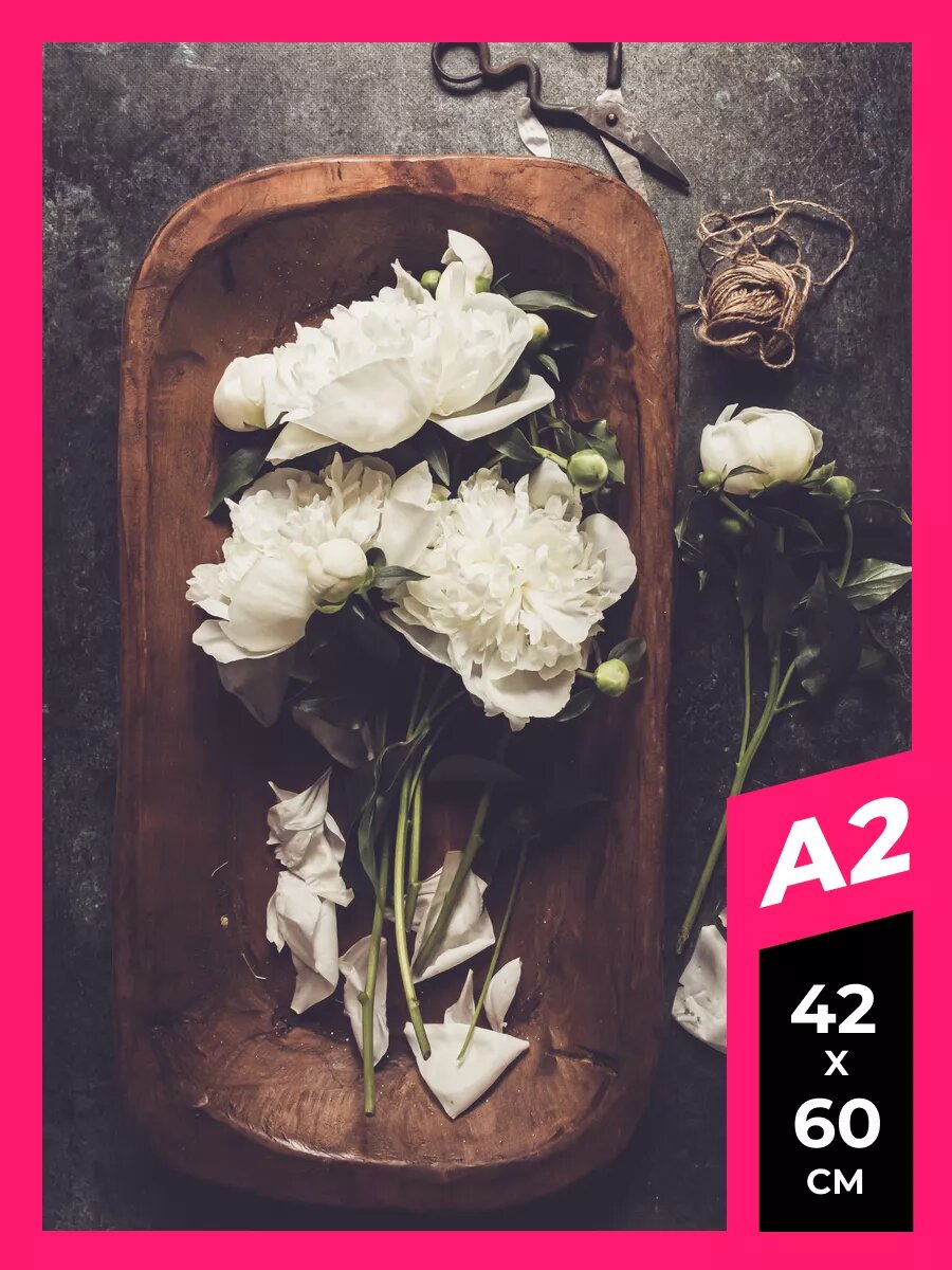 Постер пионы плакат 98 на стену А1 А2 А3 50 х 70 матовая фотобумага премиум качества