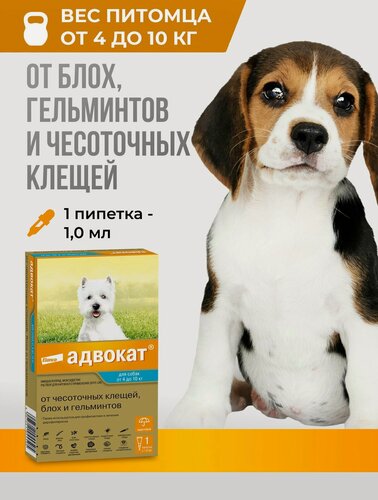 Изображение товара Адвокат для собак массой от 4 до 10кг, 1 пип