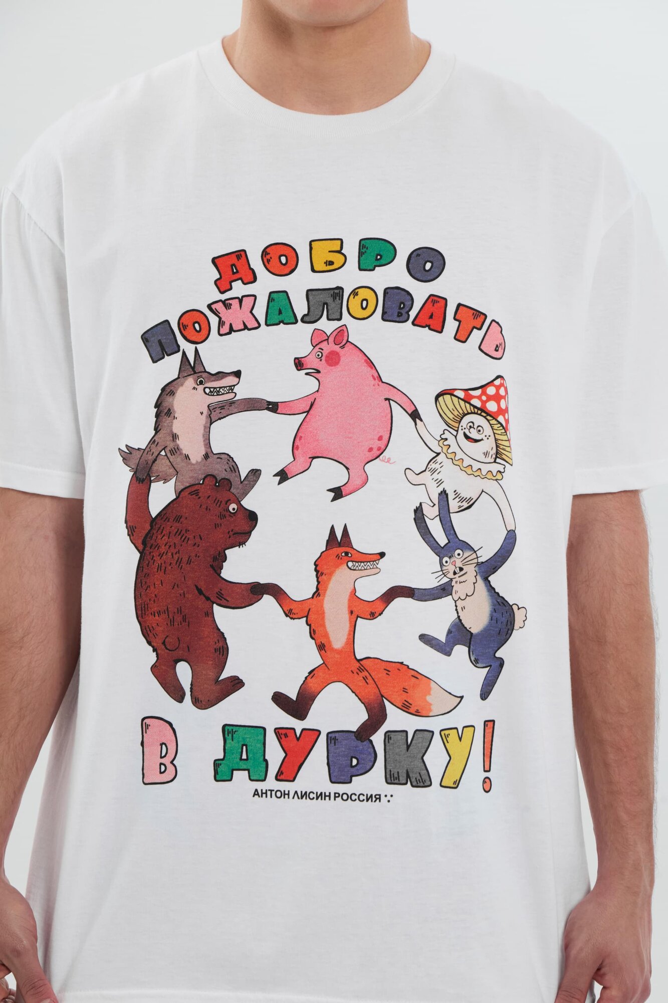 Футболка Антон Лисин «Добро пожаловать в дурку!», 1 шт., размер M, белый с принтом — фото 1