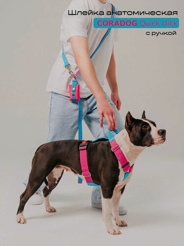 Изображение товара Шлейка широкая с ручкой прогулочная анатомическая для средних и крупных пород собак, CORADOG Quick click, размер M, цвет голубой, ярко розовый
