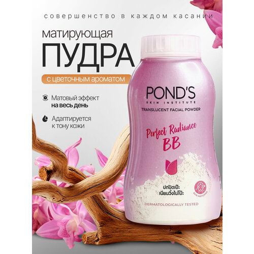Pond's ВВ Пудра Тайская рассыпчатая - Для идеальной кожи