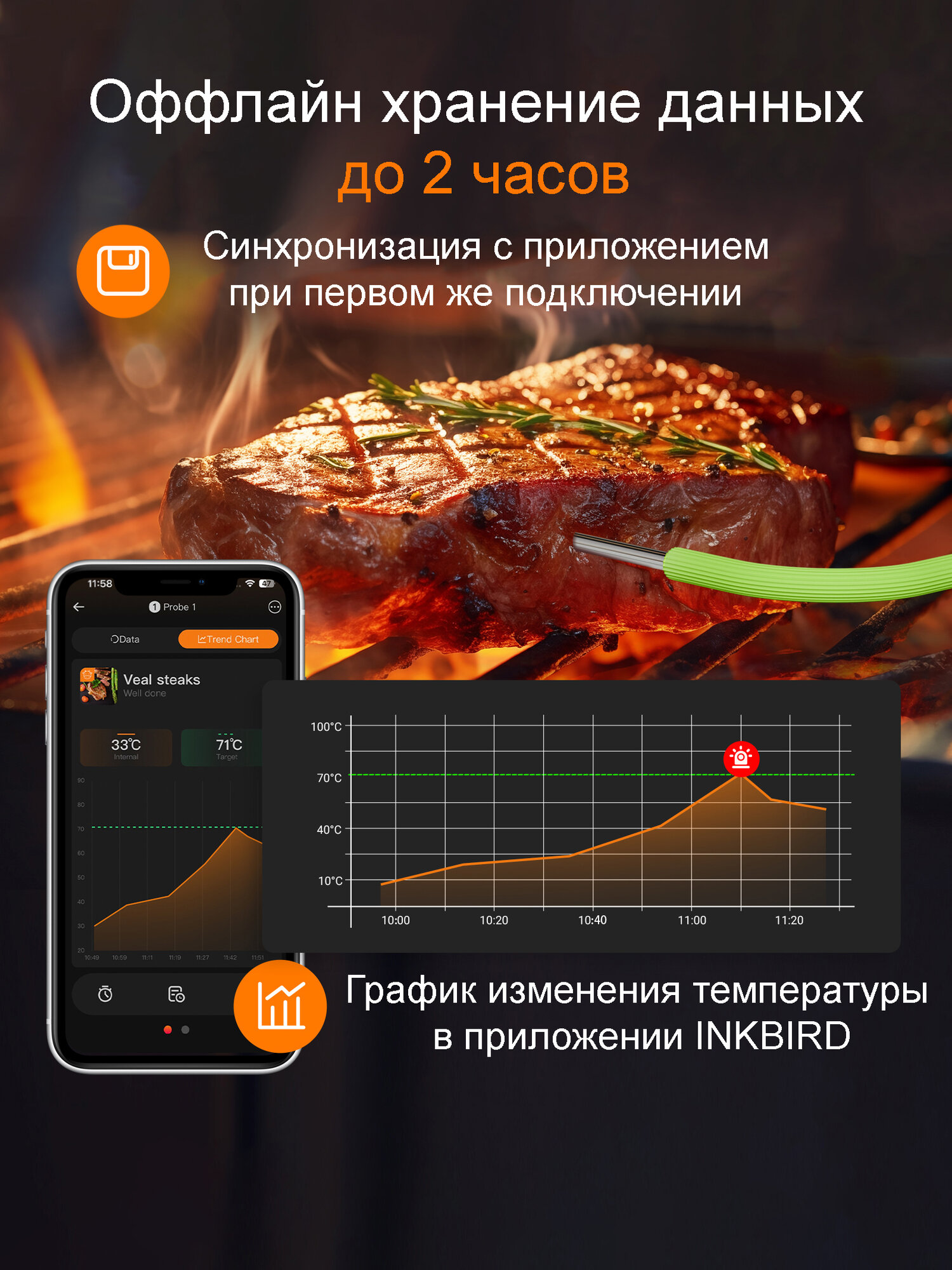 Кулинарный термометр INKBIRD IDT-22B, 2 щупа, поддержка Bluetooth 5.4 — фото 1