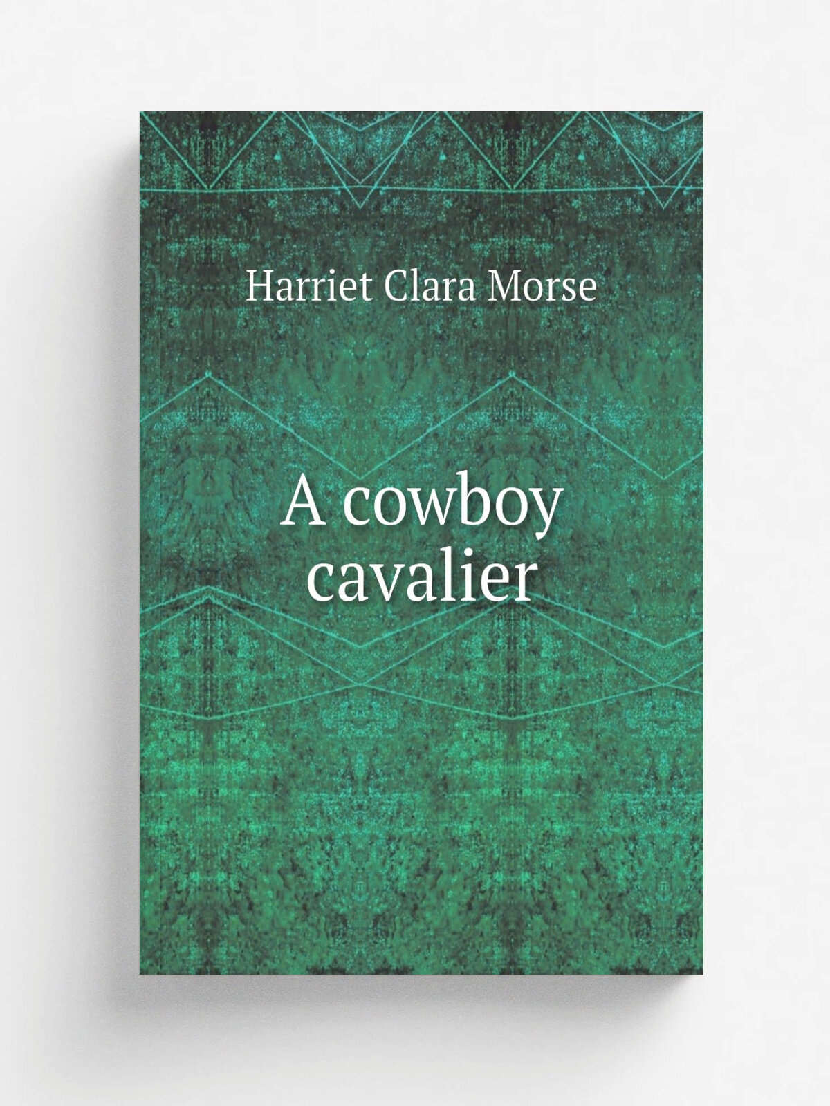 A cowboy cavalier | Harriet Clara Morse | 1908 | Boston, Massachusetts : The C.M. Clark Publishing Company | Репринт