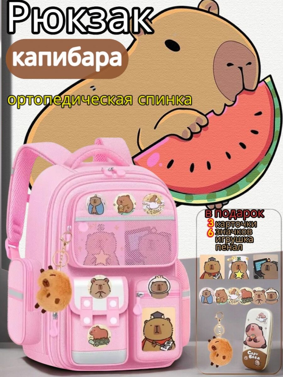 Портфель школьный для девочек. Рюкзак детский. Ранец для первоклассника и начальной школы. Капибара розовая.