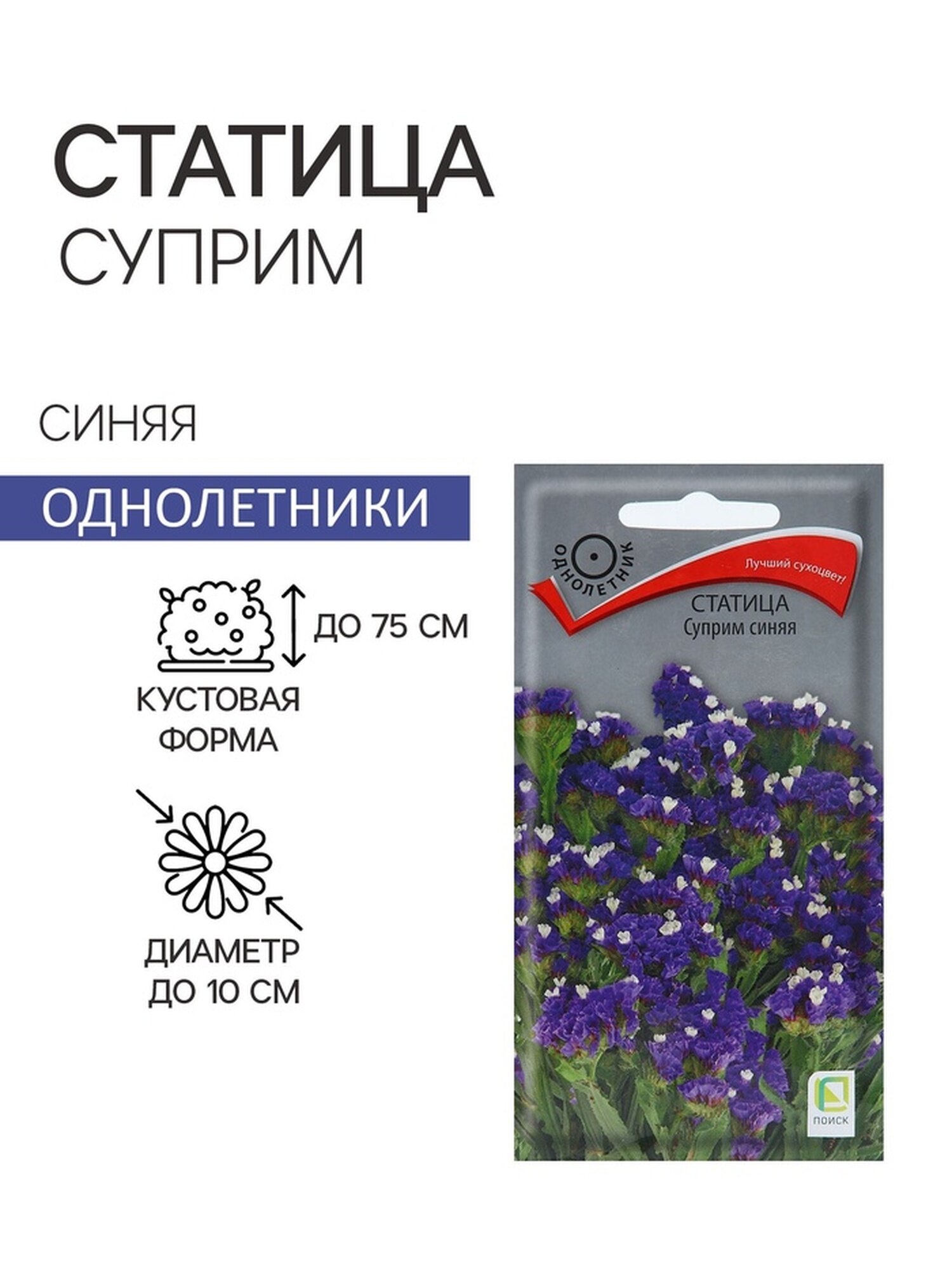 Семена цветов Статица 