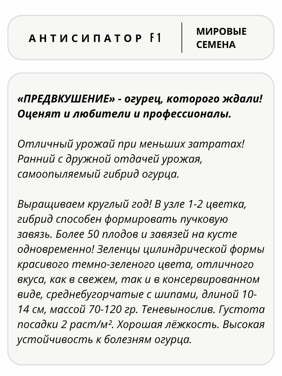 Семена огурцов Антисипатор F1, самоопыляемые, для подоконника, теплиц и открытого грунта (7 семян) — фото 1