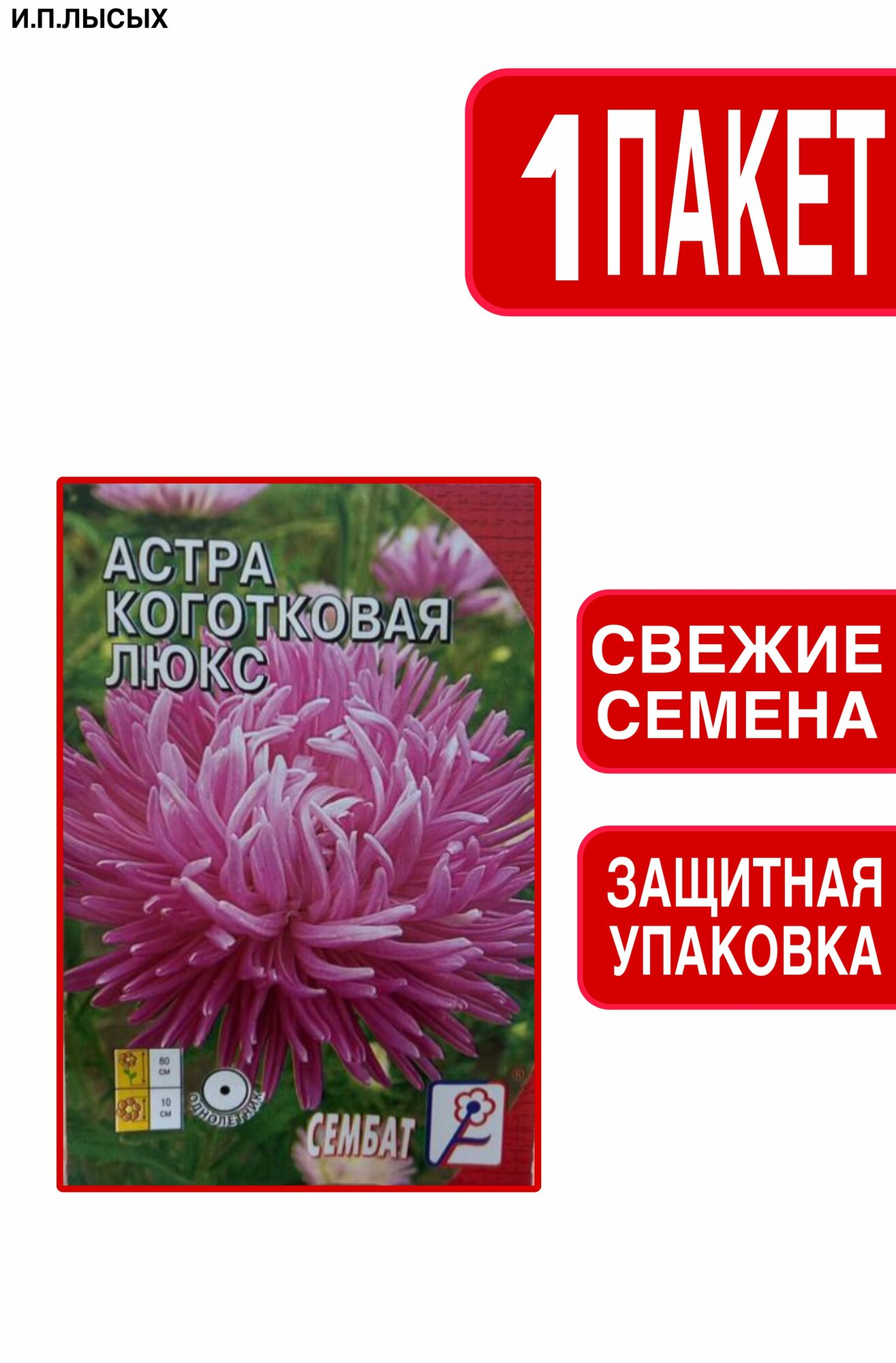 Семена Астра коготковая 