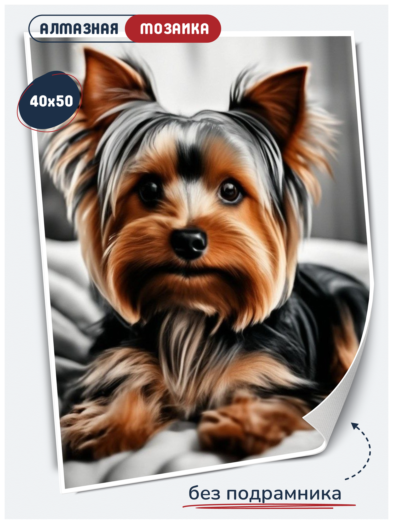 Алмазная мозаика без подрамника 