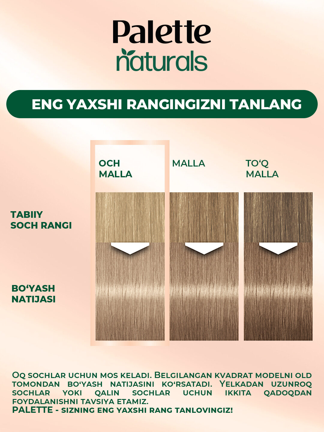 Краска для волос Schwarzkopf Palette PNC 9-1, стойкая, для закрашивания седины, 140 мл — фото 1