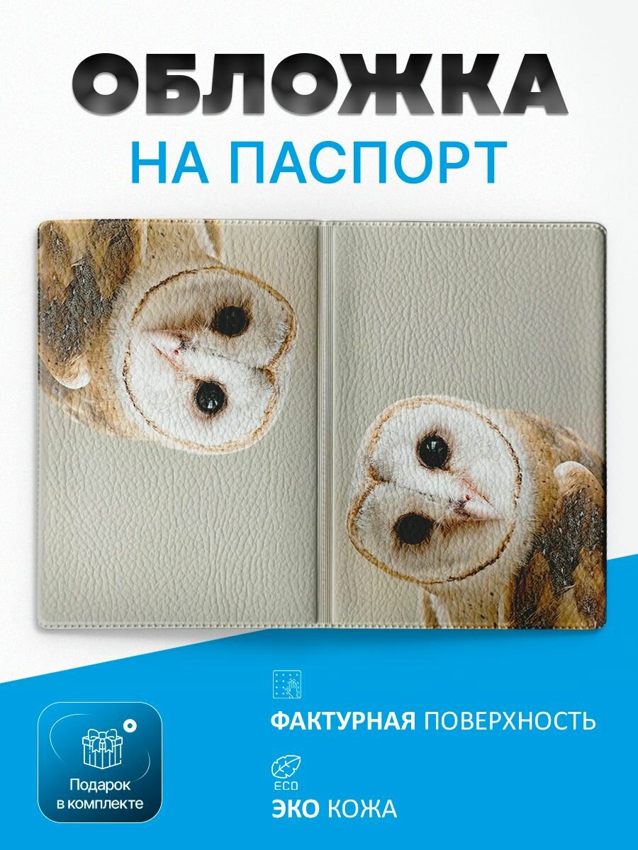 Обложка для паспорта