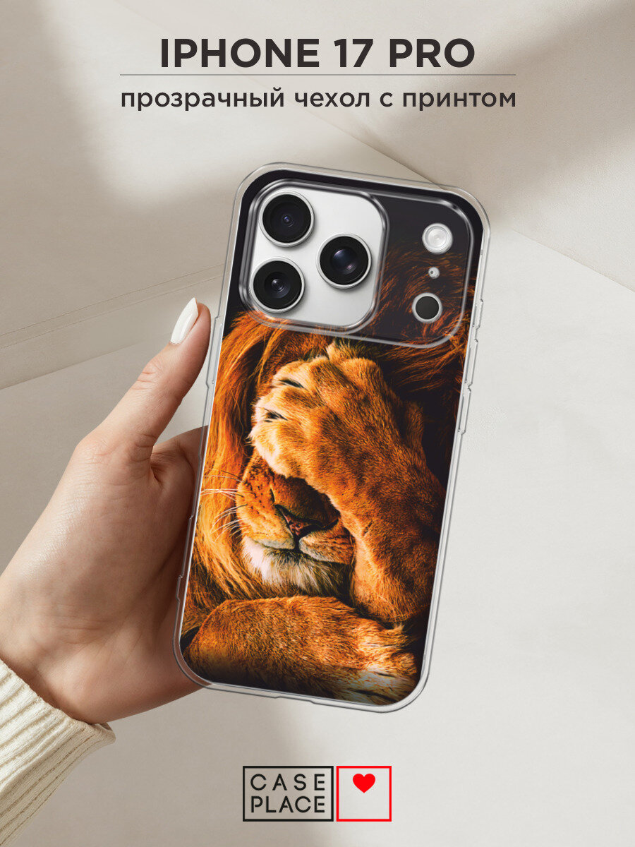 Чехол на Apple iPhone 17 Pro / Айфон 17 Про с принтом Львиный стыд