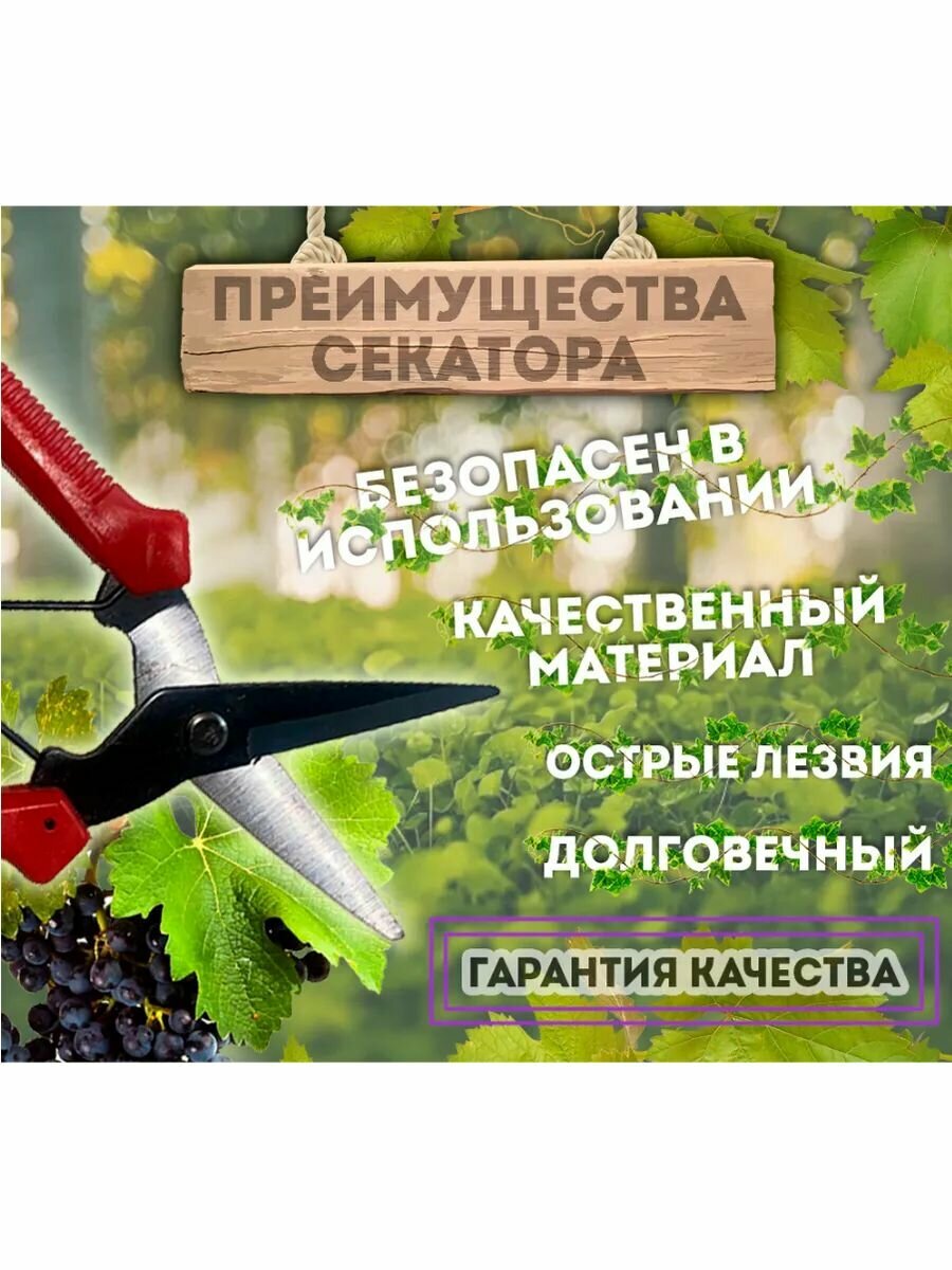 Секатор техпром "S 5042/1", сталь, ABS-пластик, длина лезвия 80мм, эргономичный дизайн — фото 1