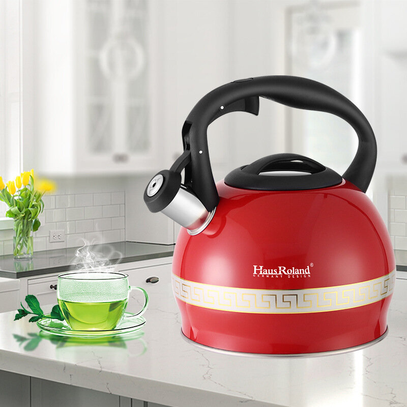 Большой чайник 3л со свистком — Подходит для всех типов плит, матовая поверхность