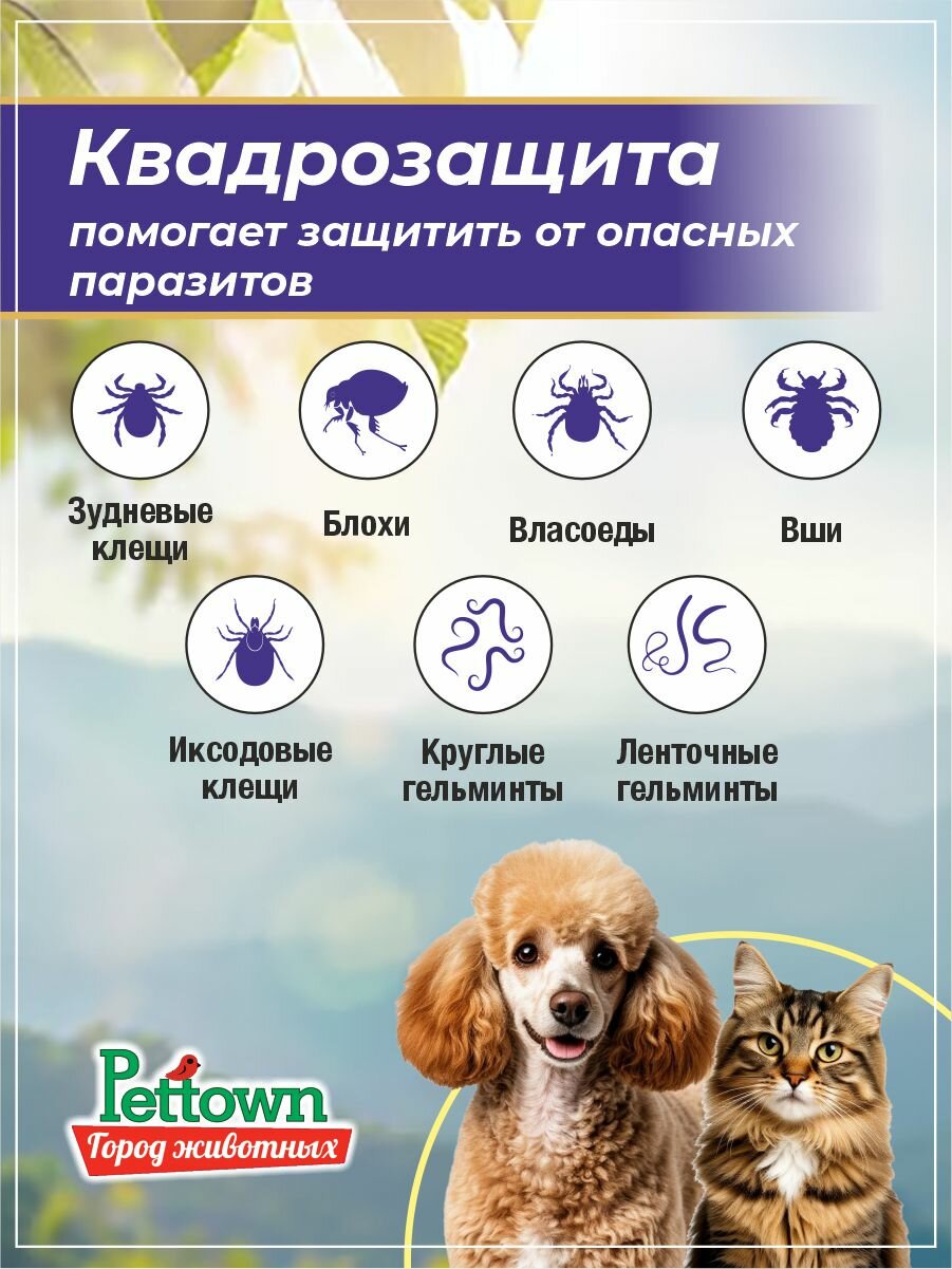 Инспектор Quadro Tabs таблетки для кошек и собак 8-16 кг, 4 таблетки — фото 1