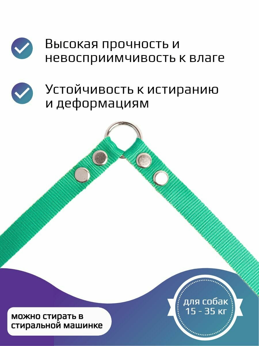 Сворка Хвостатыч для двух собак нейлон 70 см х 20 мм (бирюзовый) — фото 1
