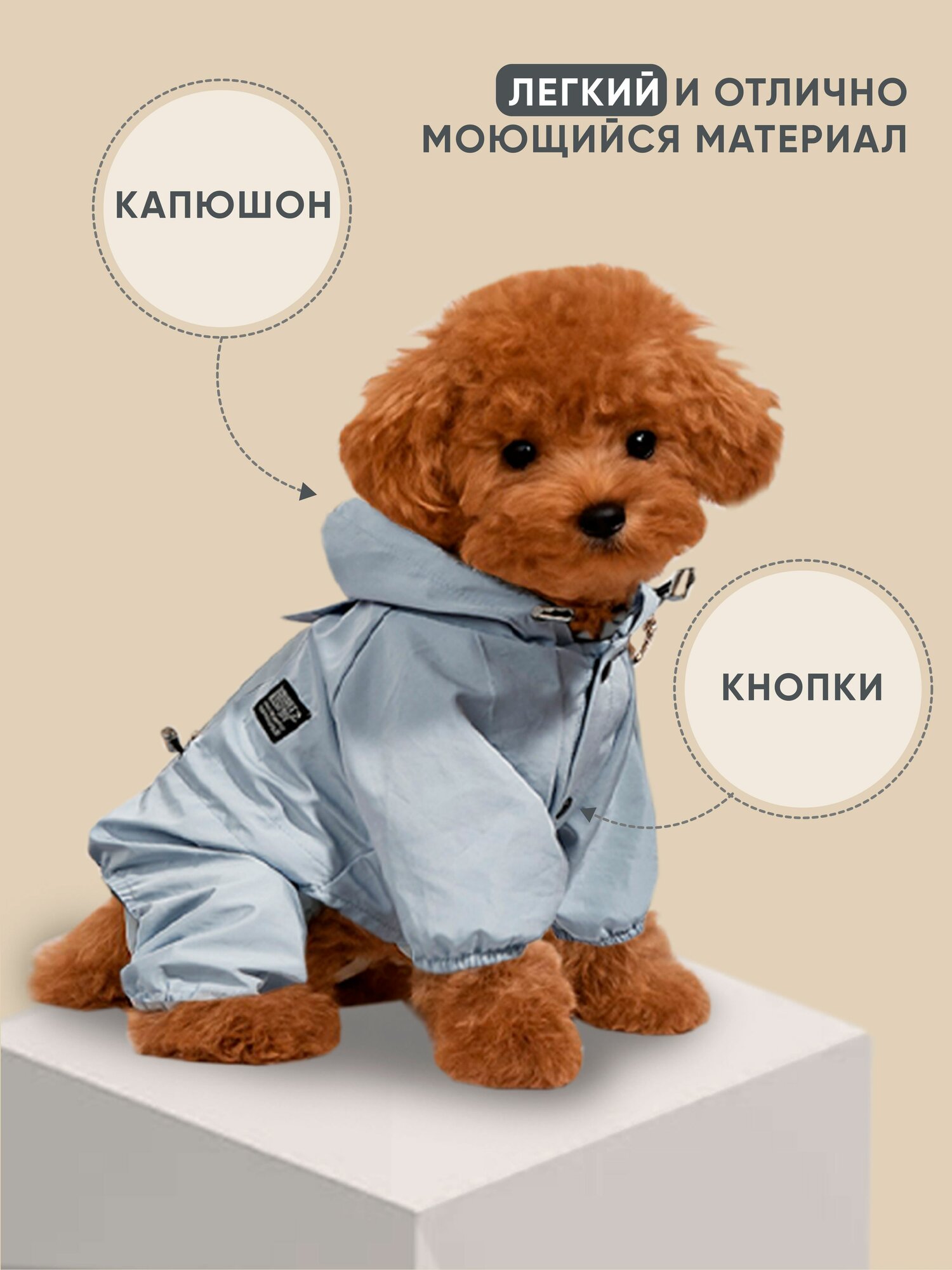 Одежда для животных — фото 1