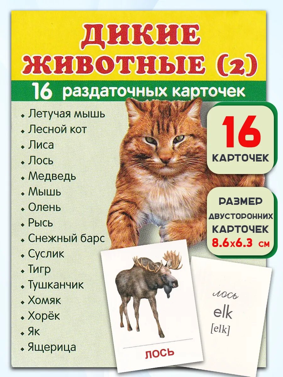 "Дикие животные" 16 раздаточных карточек. Сфера картинок