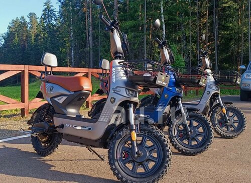 Изображение товара Электровелосипед SkyWay 1200w 18 радиус колес с NFS и круиз контролем на моторе (240w) серый