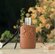 Парфюмерная вода Parfums de Marly "Althair", для мужчин, ванильны...