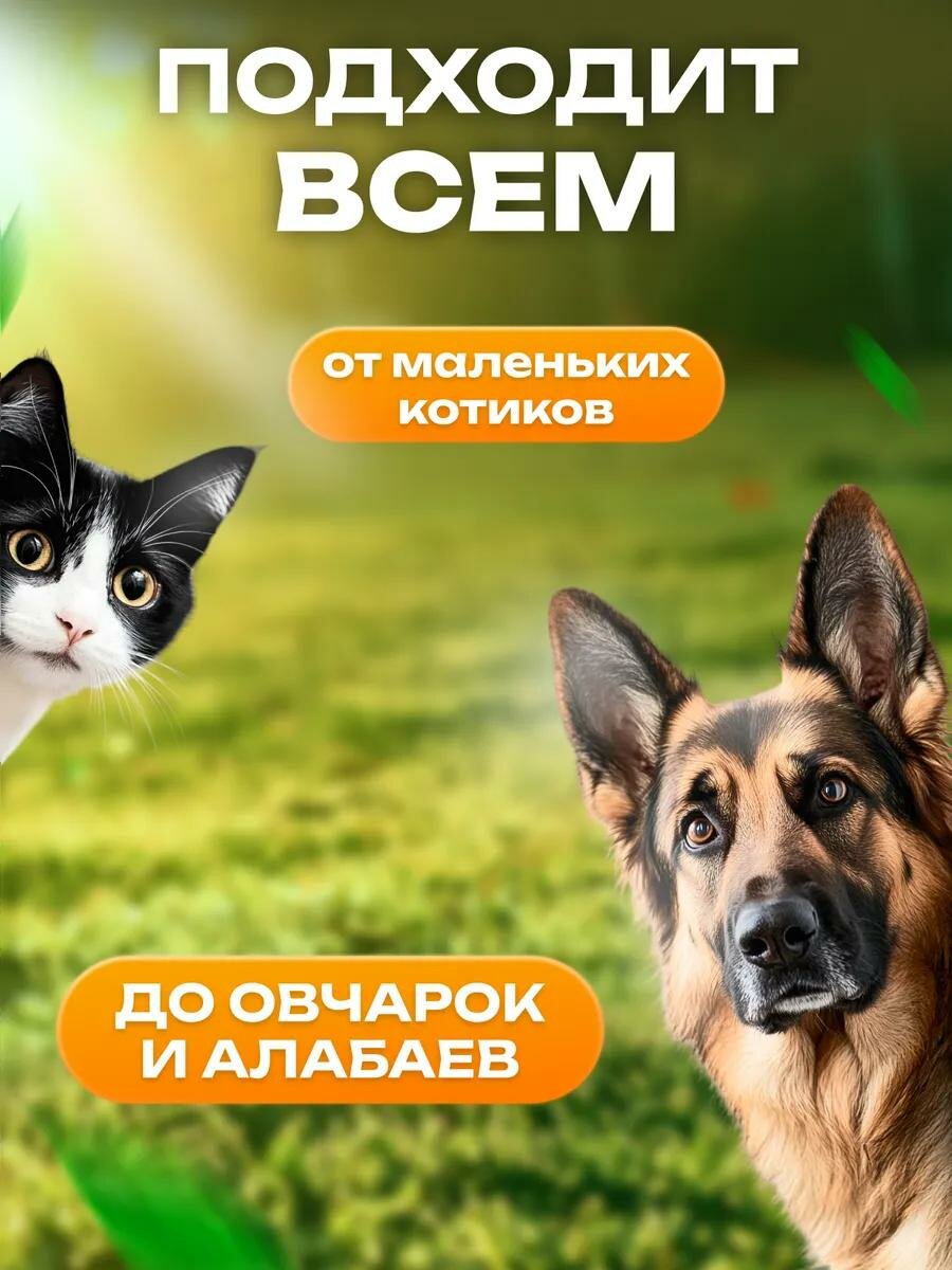 Поилка прогулочная фигурная, 300 мл, с мягким носиком, чёрная — фото 1