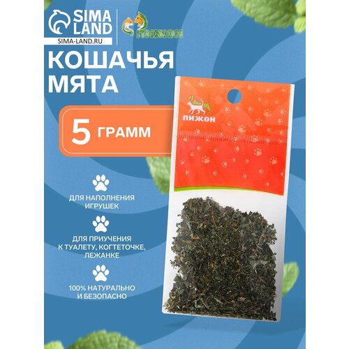 Кошачья мята "Пижон", 5 г