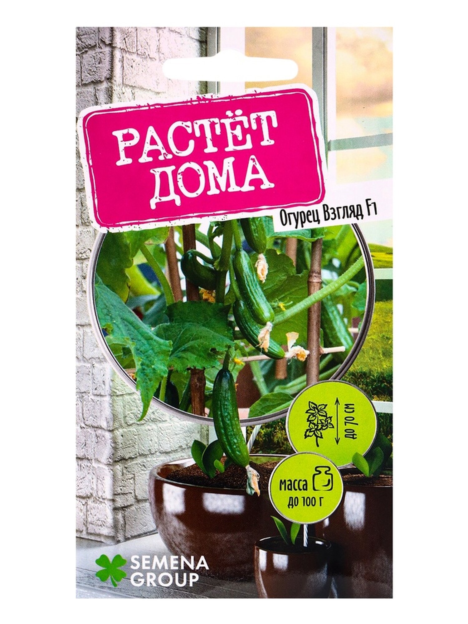 Семена огурца 