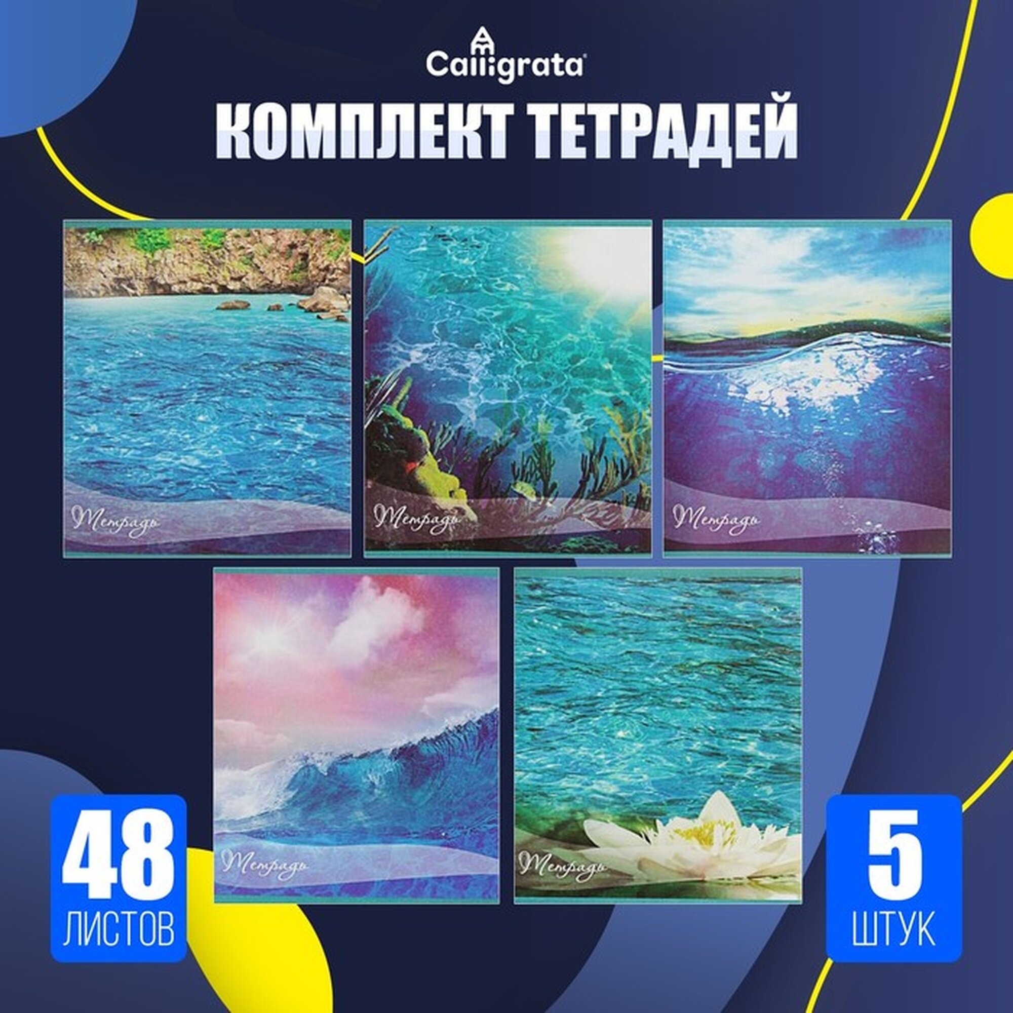 Комплект тетрадей из 5 штук (4 разные + 1 повторяющаяся), 48 л в клетку Calligrata "Океан", блок №2 (серые листы)