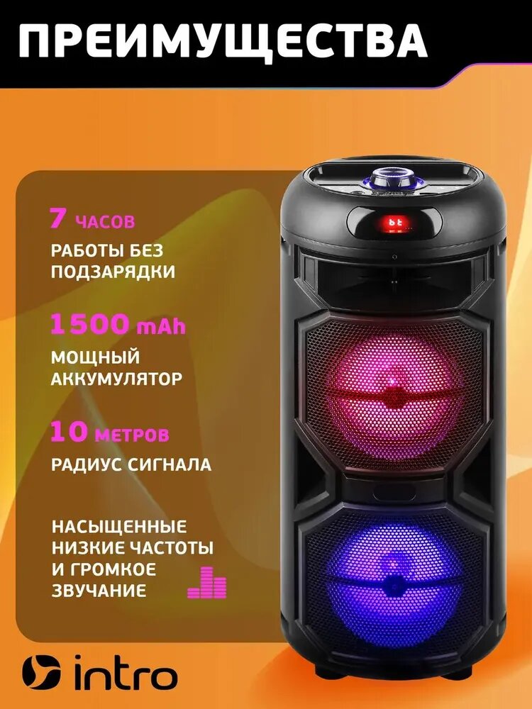 Колонка блютуз беспроводная Intro WZ810 музыкальная большая караоке с микрофоном и радио, Bluetooth 5.0, microSD — фото 1