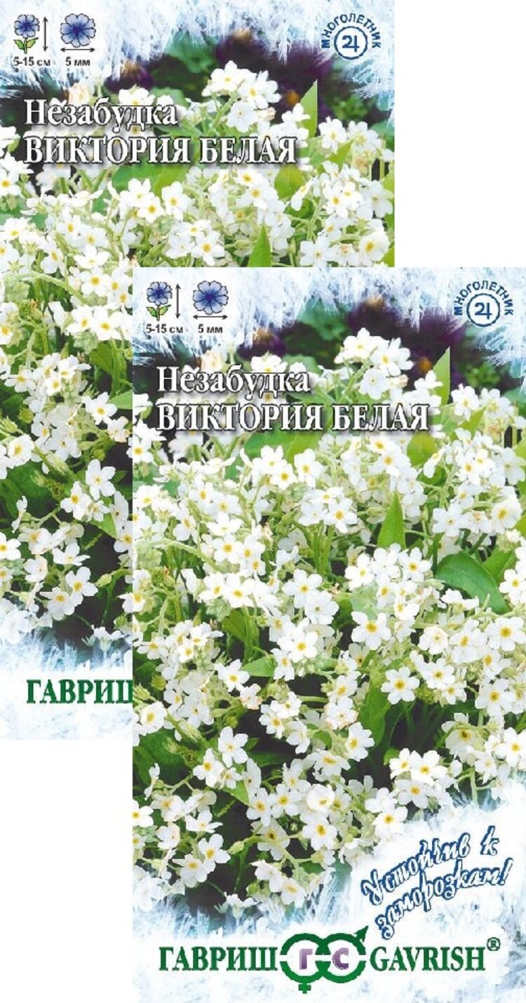 Семена Незабудка Виктория белая альпийская (003 г) 2 пакета Гавриш