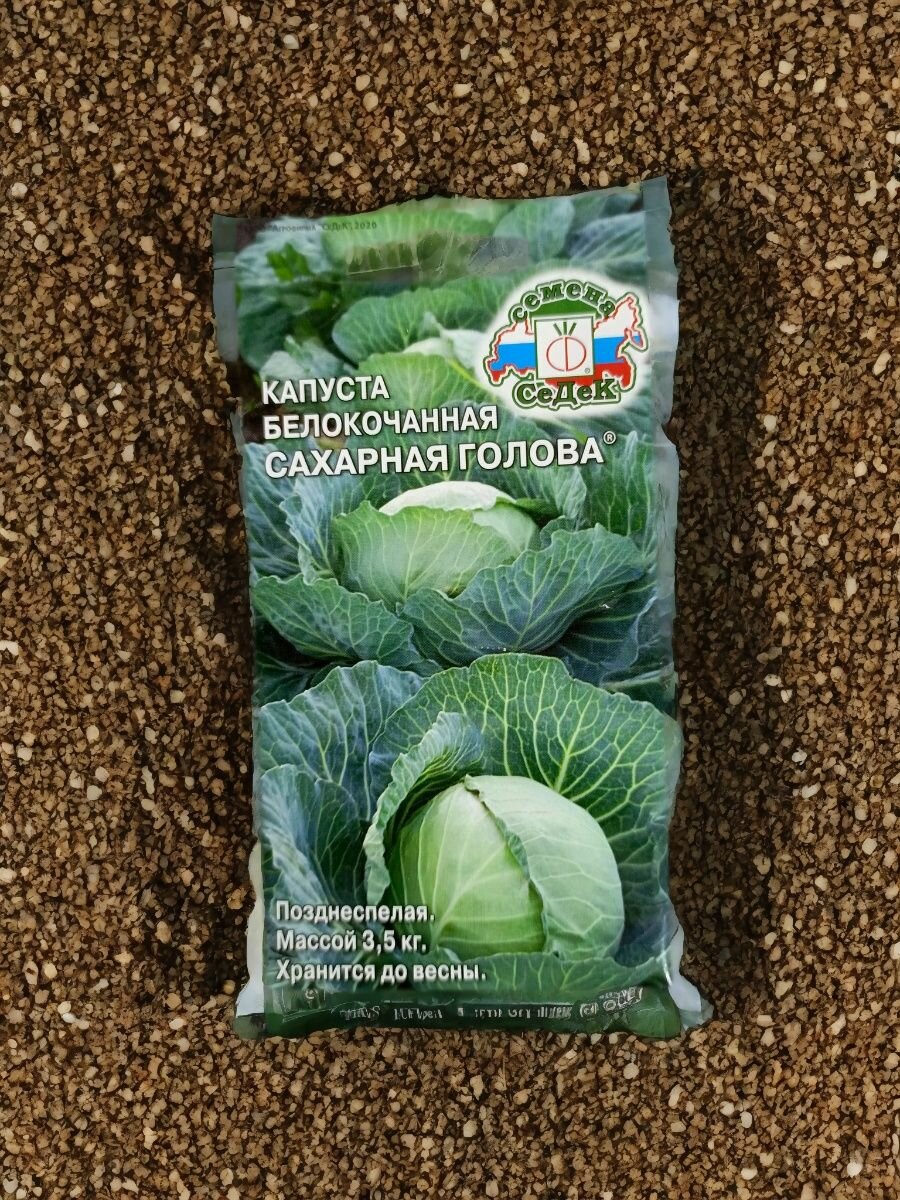 Семена капусты Сахарная Голова( позднеспелый сорт для квашения и хранения ) Седек