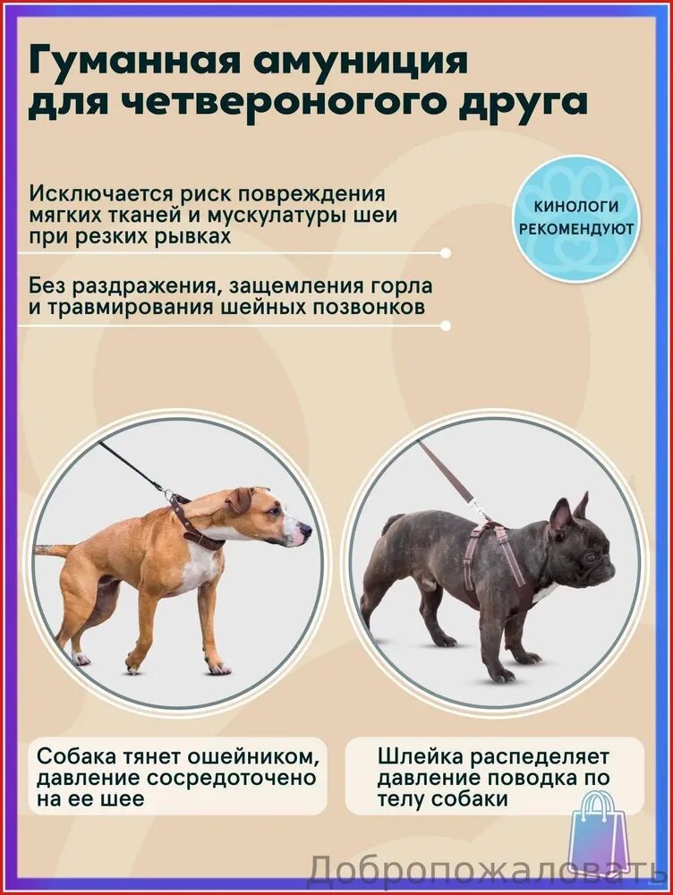 Шлейка — фото 1